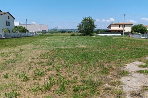Terra a Torgiano, Perugia, Torgiano - € 159.000 | Ref: 83054886 - foto 2