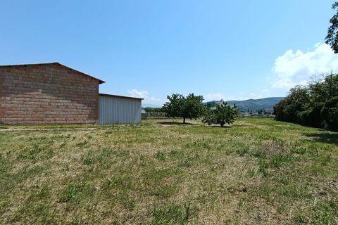 Terra a Torgiano, Perugia, Torgiano - € 159.000 | Ref: 83054886 - foto 3
