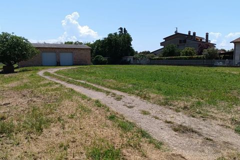 Terra a Torgiano, Perugia, Torgiano - € 159.000 | Ref: 83054886 - foto 4