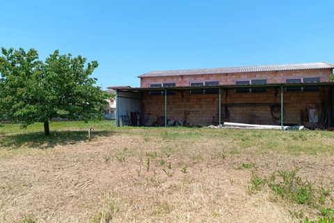 Terra a Torgiano, Perugia, Torgiano - € 159.000 | Ref: 83054886 - foto 5