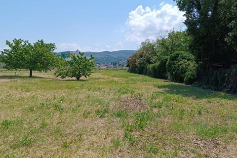 Terra a Torgiano, Perugia, Torgiano - € 159.000 | Ref: 83054886 - foto 6