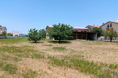 Terra a Torgiano, Perugia, Torgiano - € 159.000 | Ref: 83054886 - foto 7