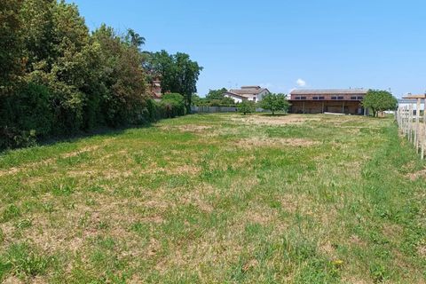 Terra a Torgiano, Perugia, Torgiano - € 159.000 | Ref: 83054886 - foto 8