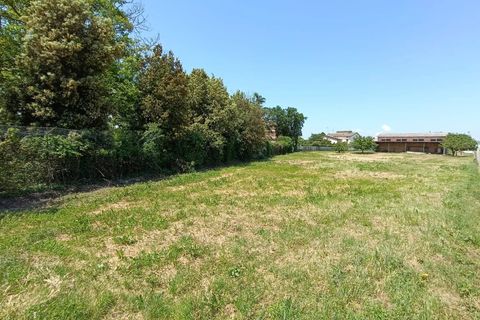 Terra a Torgiano, Perugia, Torgiano - € 159.000 | Ref: 83054886 - foto 9