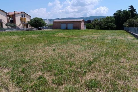 Terra a Torgiano, Perugia, Torgiano - € 159.000 | Ref: 83054886 - foto 11