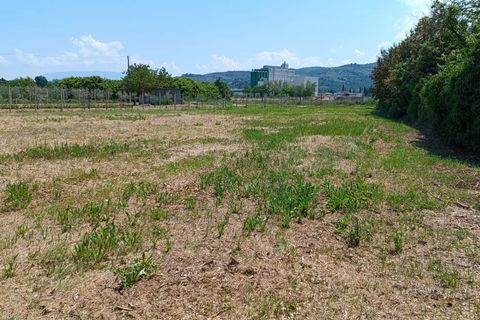 Terra a Torgiano, Perugia, Torgiano - € 159.000 | Ref: 83054886 - foto 12