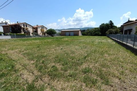 Terra a Torgiano, Perugia, Torgiano - € 159.000 | Ref: 83054886 - foto 13
