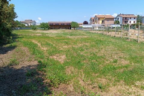 Terra a Torgiano, Perugia, Torgiano - € 159.000 | Ref: 83054886 - foto 16