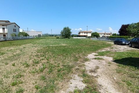 Terra a Torgiano, Perugia, Torgiano - € 159.000 | Ref: 83054886 - foto 18