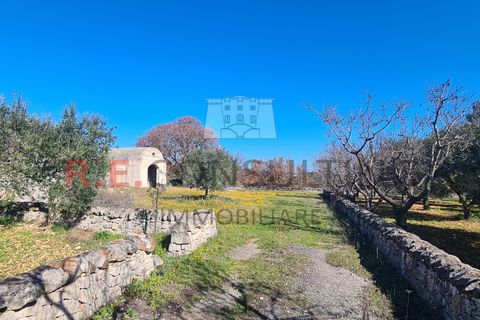 Villa i Ostuni, Brindisi, Ostuni - € 148.000 | Ref: 327 - foto 7