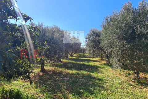 Villa i Ostuni, Brindisi, Ostuni - € 148.000 | Ref: 327 - foto 17