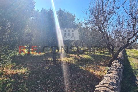 Villa i Ostuni, Brindisi, Ostuni - € 148.000 | Ref: 327 - foto 34
