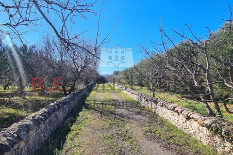 Villa i Ostuni, Brindisi, Ostuni - € 148.000 | Ref: 327 - foto 37