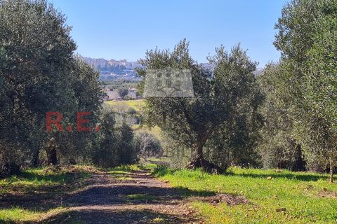 Villa i Ostuni, Brindisi, Ostuni - € 148.000 | Ref: 327 - foto 39