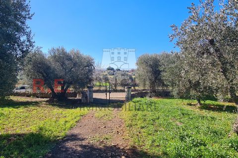 Villa i Ostuni, Brindisi, Ostuni - € 148.000 | Ref: 327 - foto 41