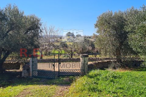 Villa i Ostuni, Brindisi, Ostuni - € 148.000 | Ref: 327 - foto 42