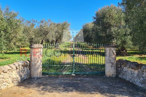 Villa i Ostuni, Brindisi, Ostuni - € 148.000 | Ref: 327 - foto 43