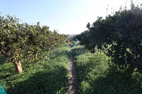 Helårsgrund i Mineo, Catania, Mineo - € 55.000 | Ref: DNTGNL2024 - foto 1