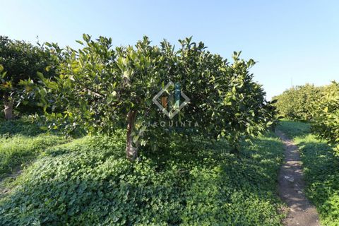 Helårsgrund i Mineo, Catania, Mineo - € 55.000 | Ref: DNTGNL2024 - foto 2