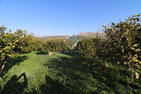 Helårsgrund i Mineo, Catania, Mineo - € 55.000 | Ref: DNTGNL2024 - foto 3