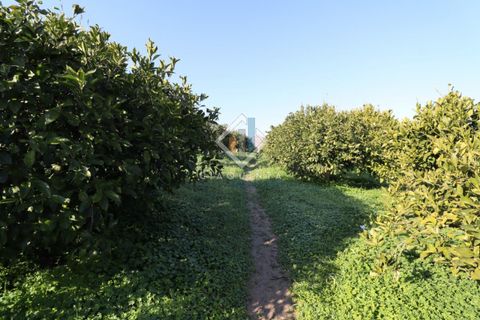 Helårsgrund i Mineo, Catania, Mineo - € 55.000 | Ref: DNTGNL2024 - foto 5