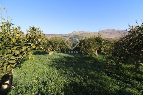 Helårsgrund i Mineo, Catania, Mineo - € 55.000 | Ref: DNTGNL2024 - foto 8