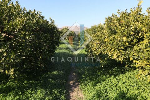 Helårsgrund i Mineo, Catania, Mineo - € 55.000 | Ref: DNTGNL2024 - foto 9
