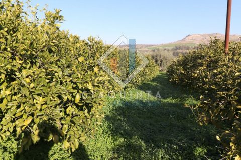 Helårsgrund i Mineo, Catania, Mineo - € 55.000 | Ref: DNTGNL2024 - foto 10