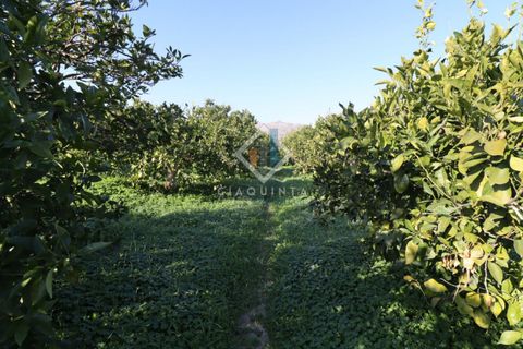 Helårsgrund i Mineo, Catania, Mineo - € 55.000 | Ref: DNTGNL2024 - foto 11