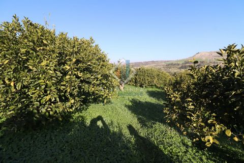 Helårsgrund i Mineo, Catania, Mineo - € 55.000 | Ref: DNTGNL2024 - foto 12