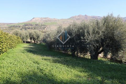 Helårsgrund i Mineo, Catania, Mineo - € 55.000 | Ref: DNTGNL2024 - foto 14