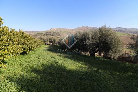 Helårsgrund i Mineo, Catania, Mineo - € 55.000 | Ref: DNTGNL2024 - foto 15