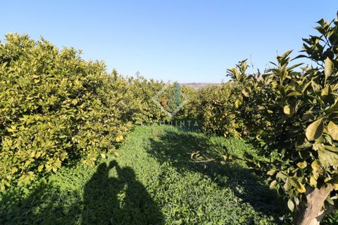 Helårsgrund i Mineo, Catania, Mineo - € 55.000 | Ref: DNTGNL2024 - foto 17