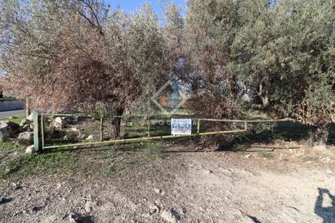 Helårsgrund i Mineo, Catania, Mineo - € 55.000 | Ref: DNTGNL2024 - foto 19