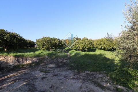 Helårsgrund i Mineo, Catania, Mineo - € 55.000 | Ref: DNTGNL2024 - foto 22