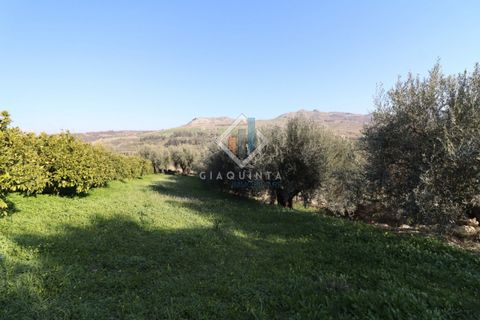 Helårsgrund i Mineo, Catania, Mineo - € 55.000 | Ref: DNTGNL2024 - foto 23