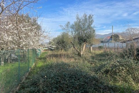 Helårsgrund i Ponte de Lima, Viana do Castelo, Ponte de Lima - € 45.000 | Ref: MDS3988 - foto 2
