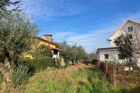 Helårsgrund i Ponte de Lima, Viana do Castelo, Ponte de Lima - € 45.000 | Ref: MDS3988 - foto 3