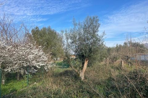 Helårsgrund i Ponte de Lima, Viana do Castelo, Ponte de Lima - € 45.000 | Ref: MDS3988 - foto 4