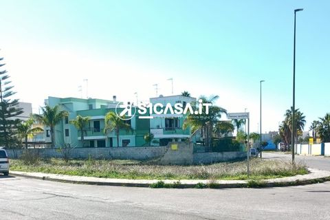Terra a Galatone, Lecce, Galatone - € 50.000 | Ref: BOI-1295 - foto 5