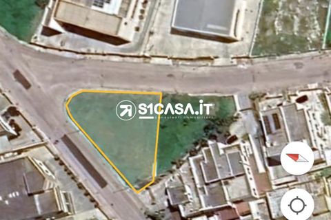 Terra a Galatone, Lecce, Galatone - € 50.000 | Ref: BOI-1295 - foto 6