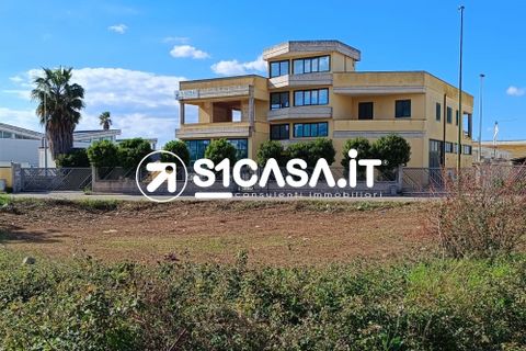 Terra a Galatone, Lecce, Galatone - € 50.000 | Ref: BOI-1295 - foto 2