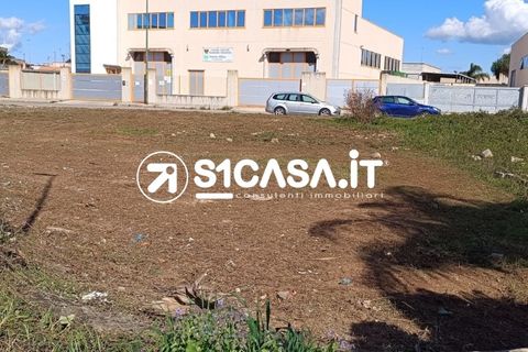Terra a Galatone, Lecce, Galatone - € 50.000 | Ref: BOI-1295 - foto 3