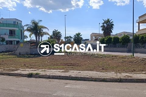 Terra a Galatone, Lecce, Galatone - € 50.000 | Ref: BOI-1295 - foto 4