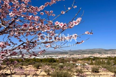 Landejendom i Ibi, Alicante, Ibi - € 450.000 | Ref: 441/6818 - foto 7