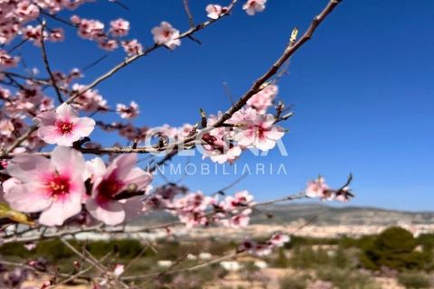 Landejendom i Ibi, Alicante, Ibi - € 450.000 | Ref: 441/6818 - foto 8