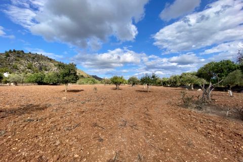 Villa i Pollenca, Mallorca, Pollenca - € 850.000 | Ref: 1837 - foto 2
