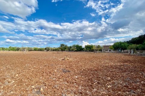 Villa i Pollenca, Mallorca, Pollenca - € 850.000 | Ref: 1837 - foto 3