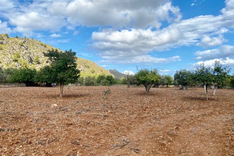 Villa i Pollenca, Mallorca, Pollenca - € 850.000 | Ref: 1837 - foto 11