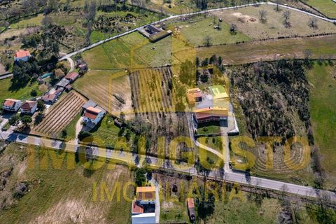 Helårsgrund i Guarda, Guarda, Guarda - € 50.000 | Ref: PAR_2002 - foto 8